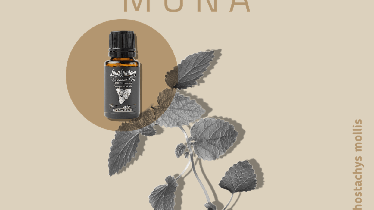 Five Things To Know About Muña, the Andean Mint - Luna Sundara