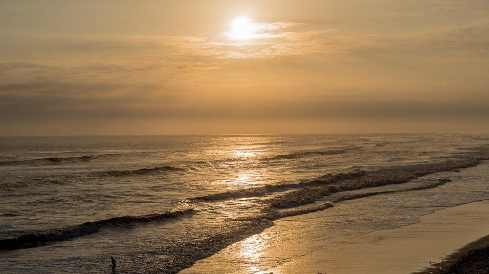 How Can Your Passions Improve Your Lifestyle? - Luna Sundara