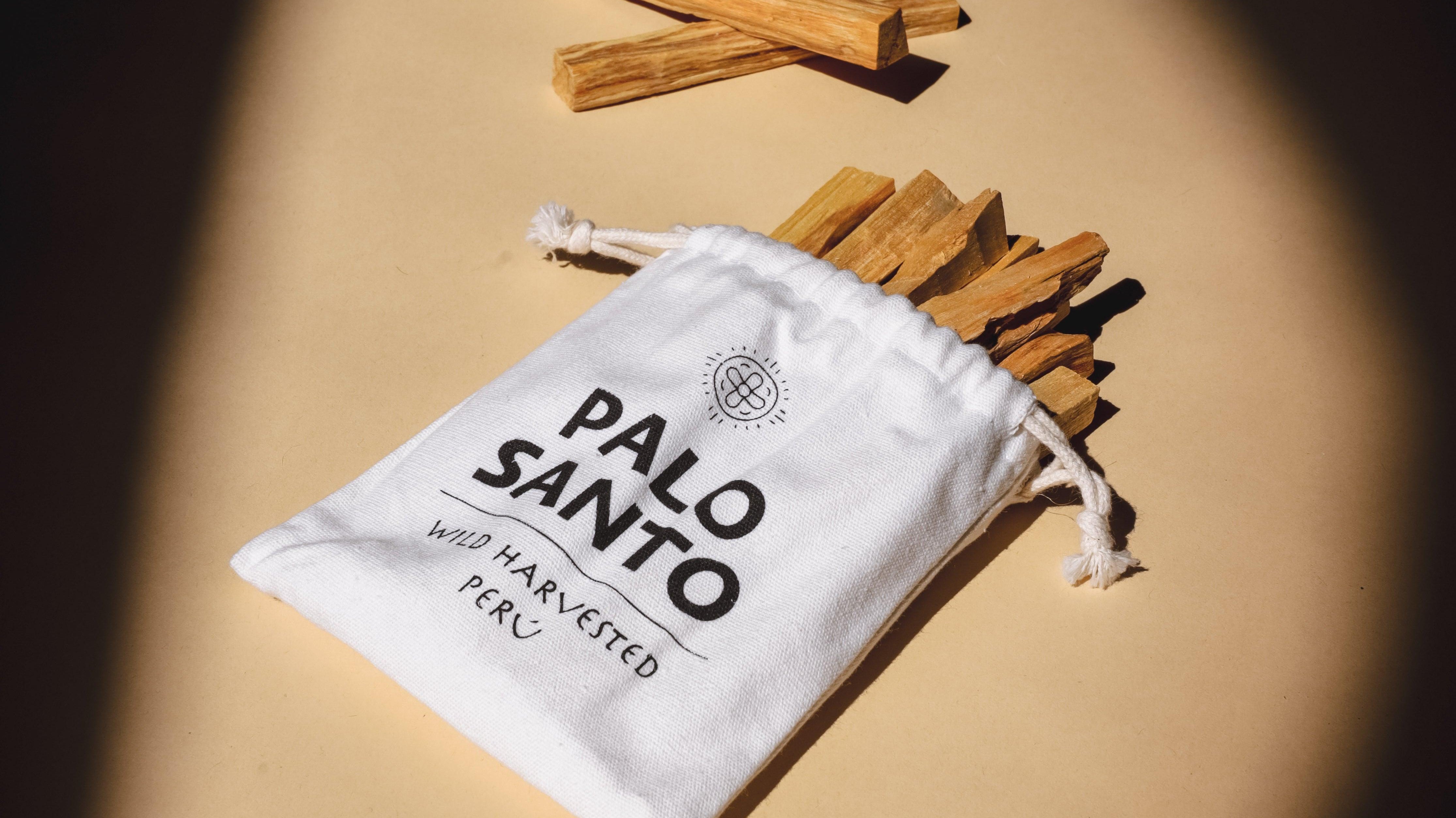 Is Palo Santo Endangered? - Luna Sundara