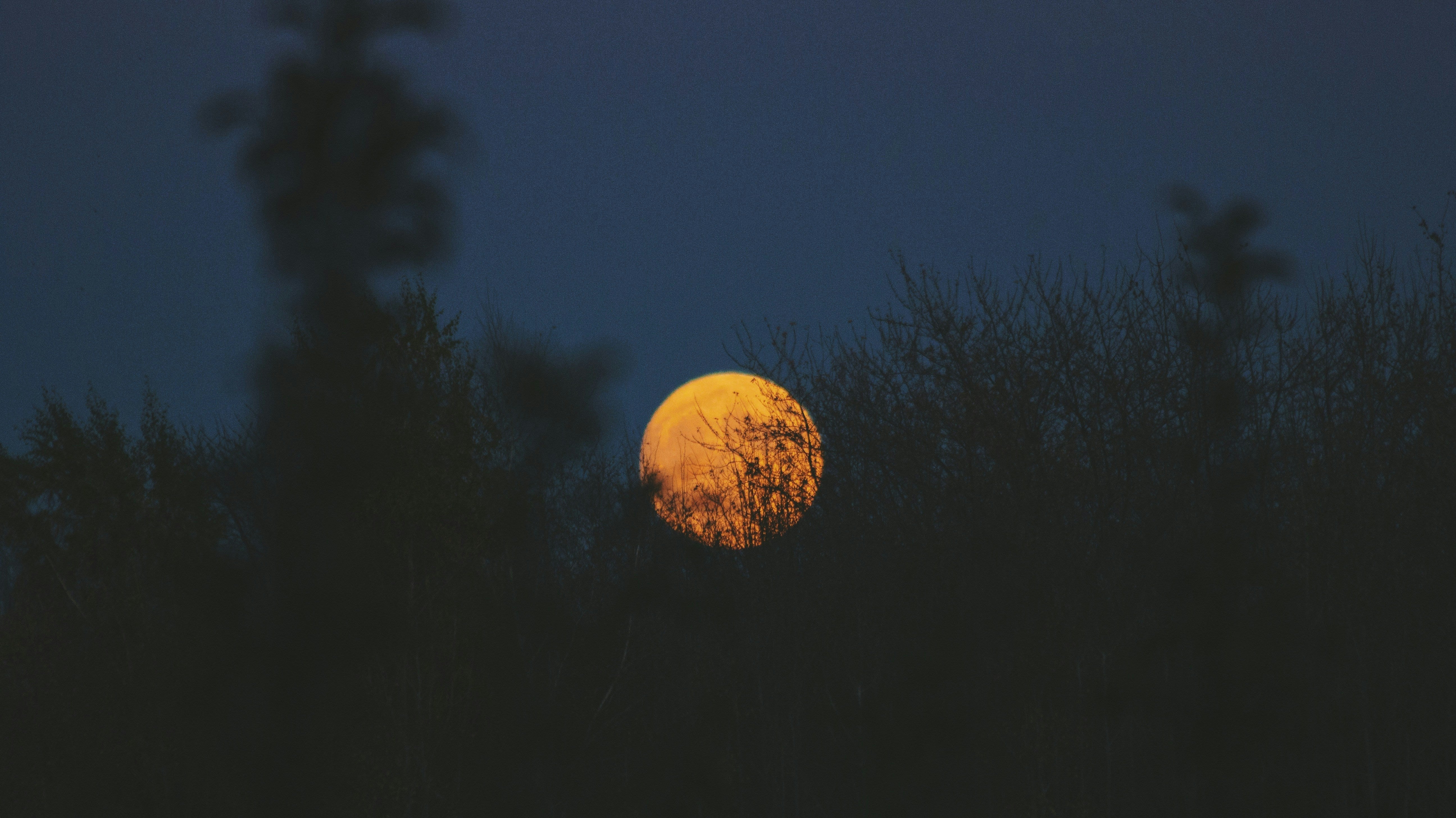 Luna Sundara full moon