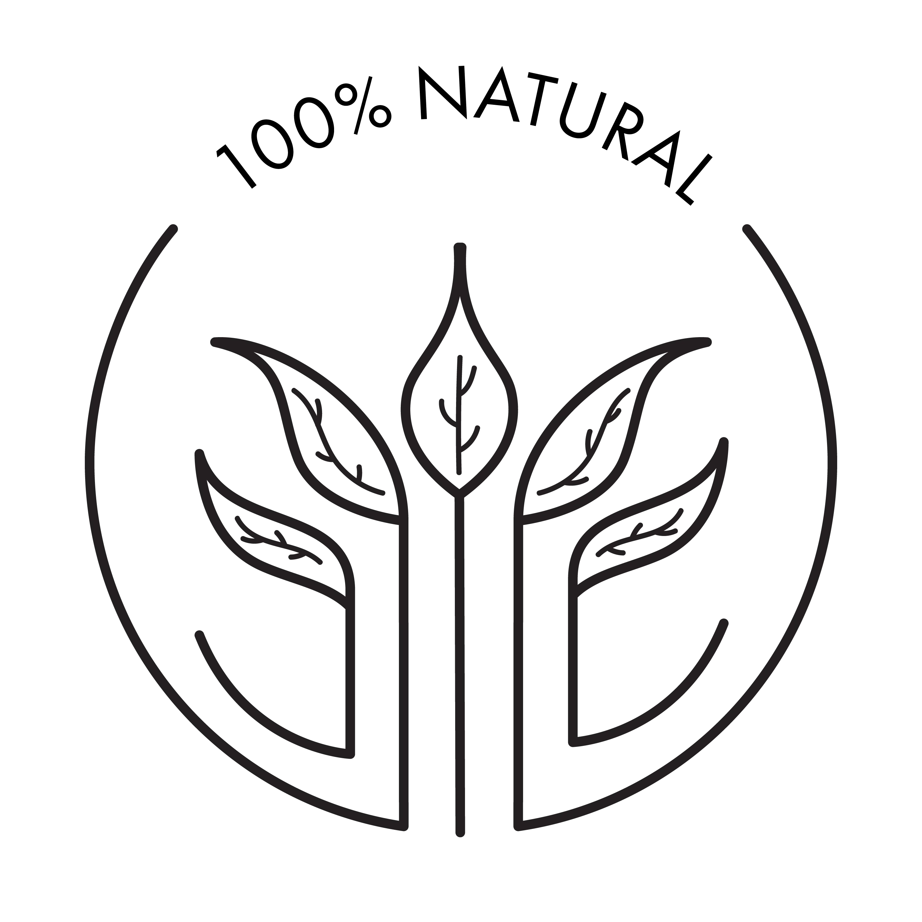 VA_Facts_FUTURA-01 - Luna Sundara