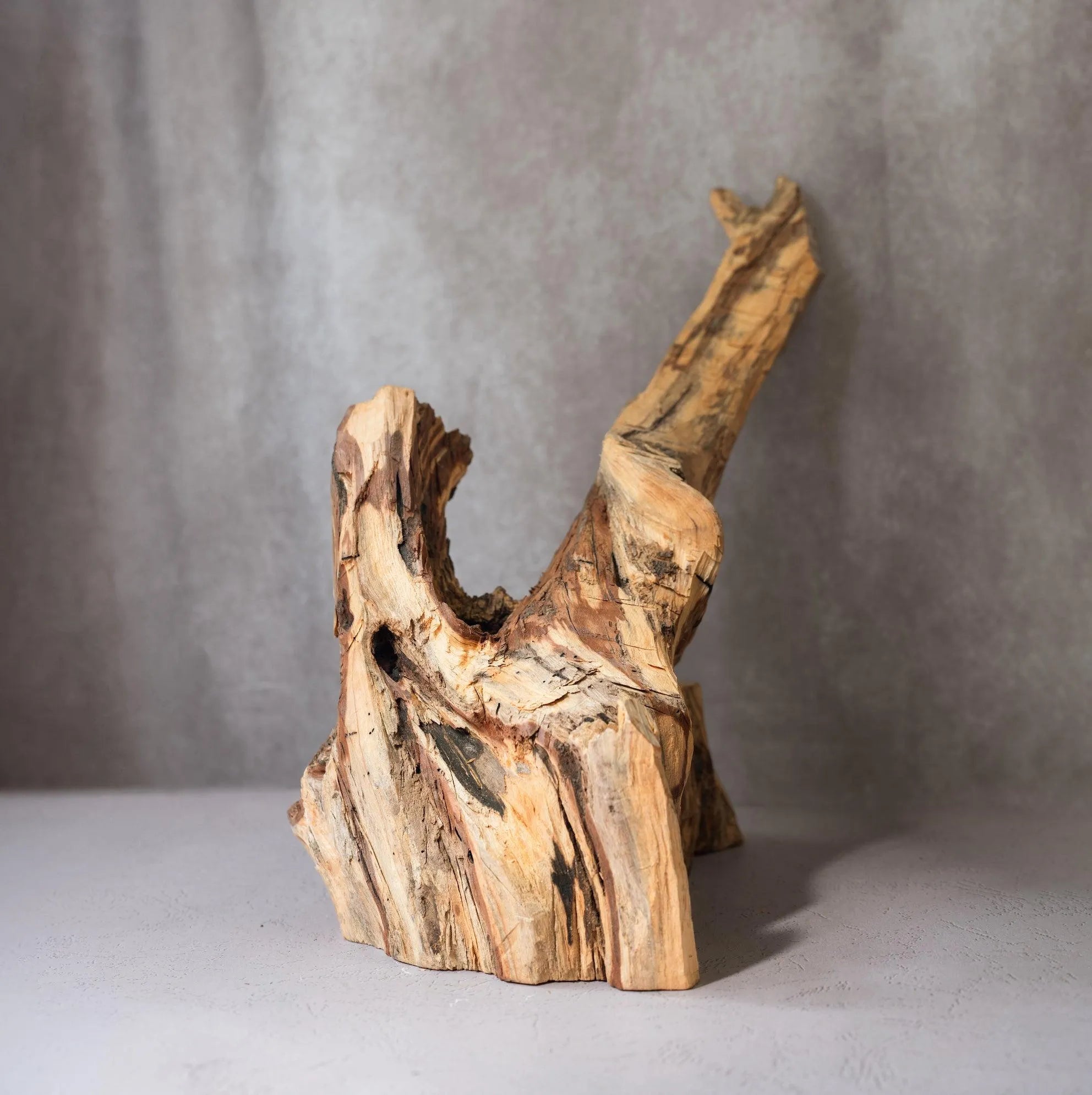 palo-santo-log-resplandor-inti-luna-sundara - Luna Sundara