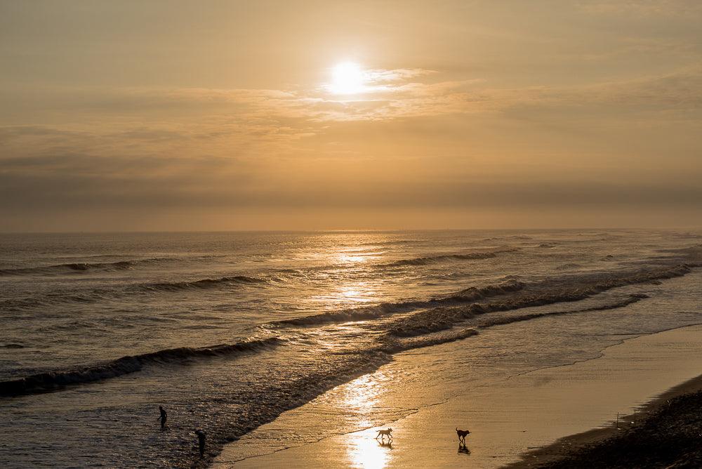 How Can Your Passions Improve Your Lifestyle? - Luna Sundara