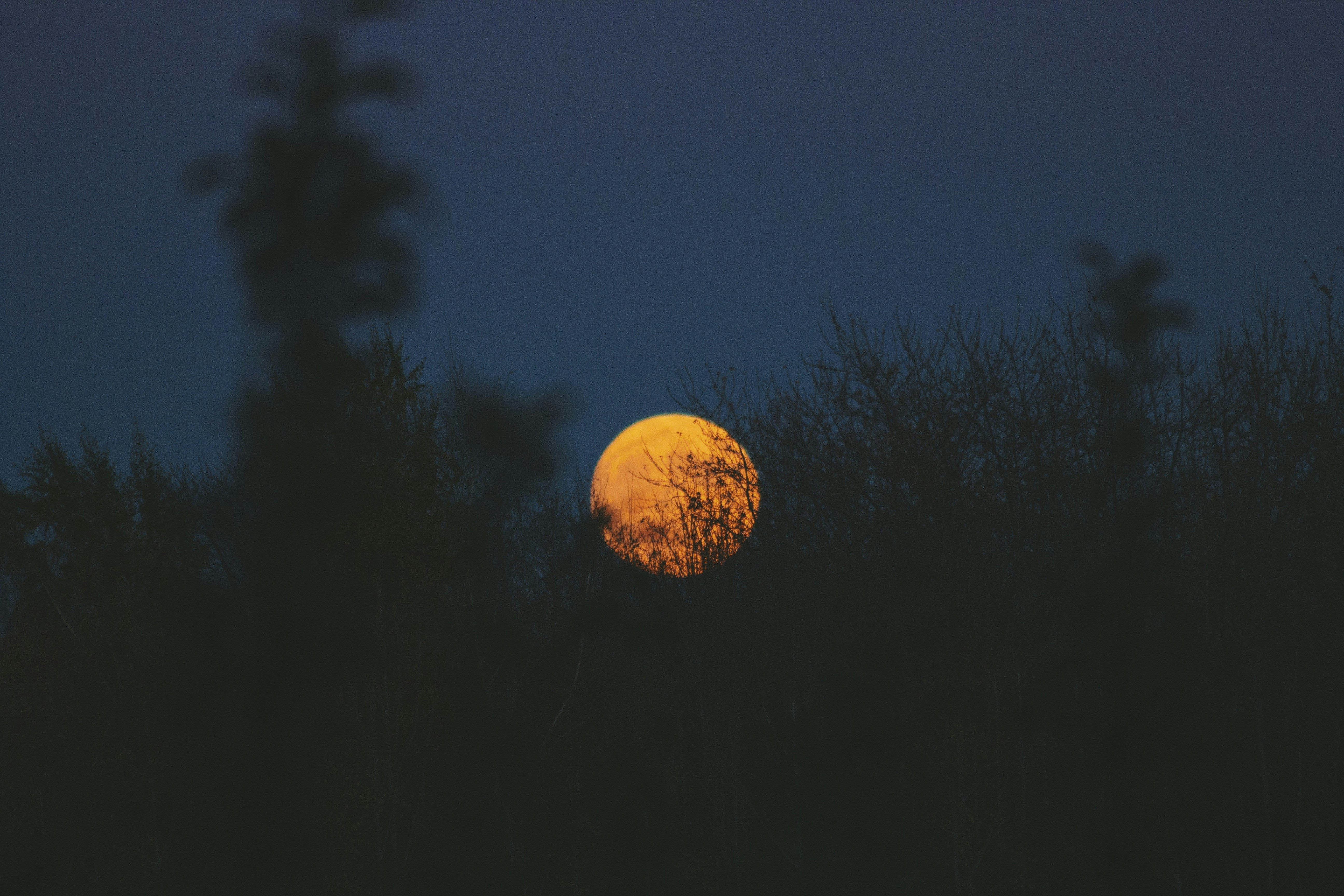 Luna Sundara full moon